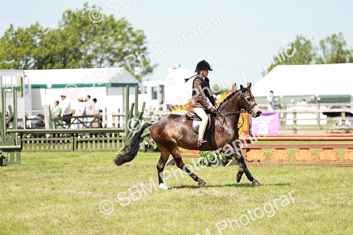 SBM_15465 - Class 108-109 - BSPS LIHS Open Gradle & Nursery Stakes