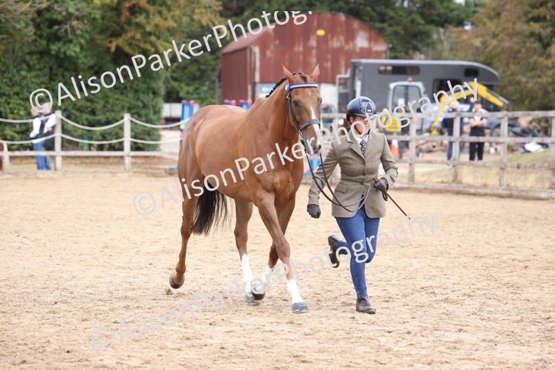 20260831-1969 - Class 5 - Retraining of Racehorses