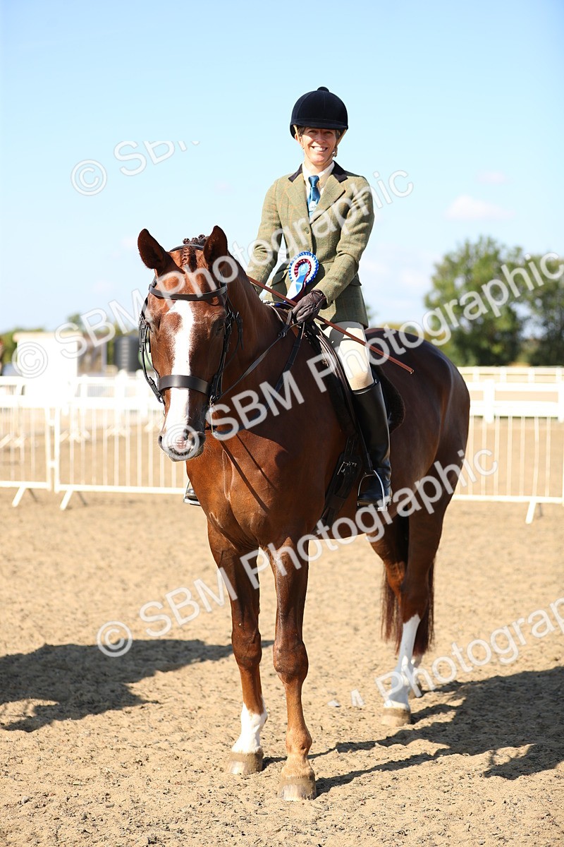 SBM_02379 - Class 43 Ridden Competition Horse/Pony