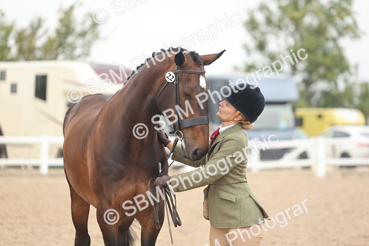 SBM_19882 - Class 318 - IH Part Bred Horse-Pony