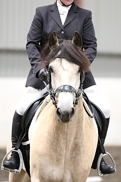 SIAL5197 - CAbin Dressage 5th july 2025