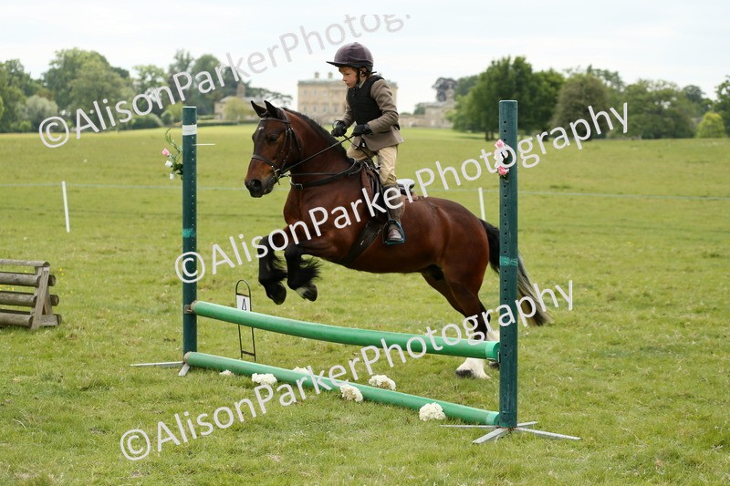 20250517-1163 - Class 21 - Novice Working Hunter