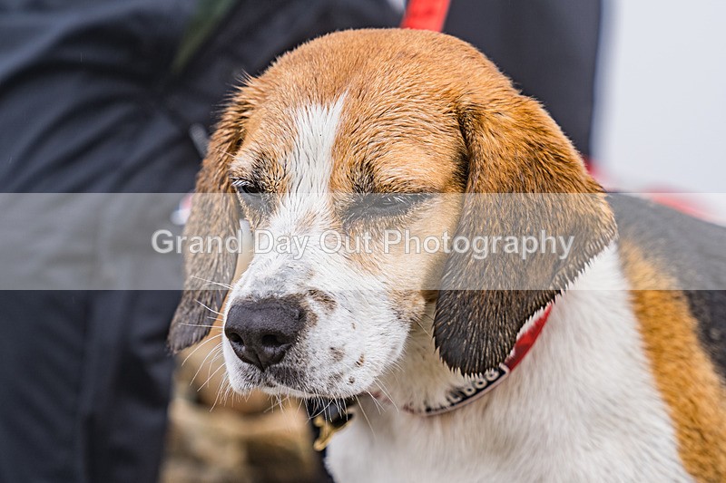 Great Lakes-375 - Great Lakes Fell Race Saturday 29th June 2024