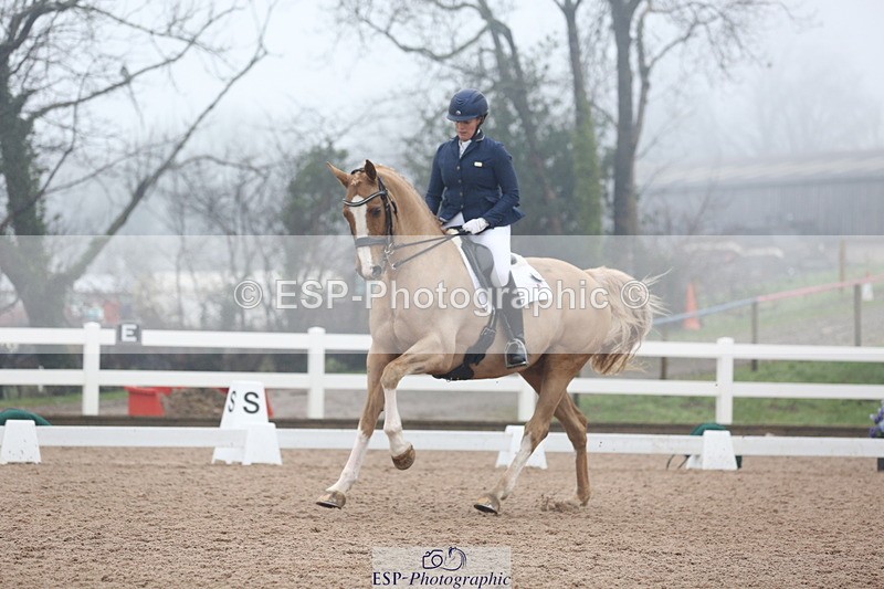 240217A-123524-02917 - 274-Clare.Smith-Dori.Dragon.Fly