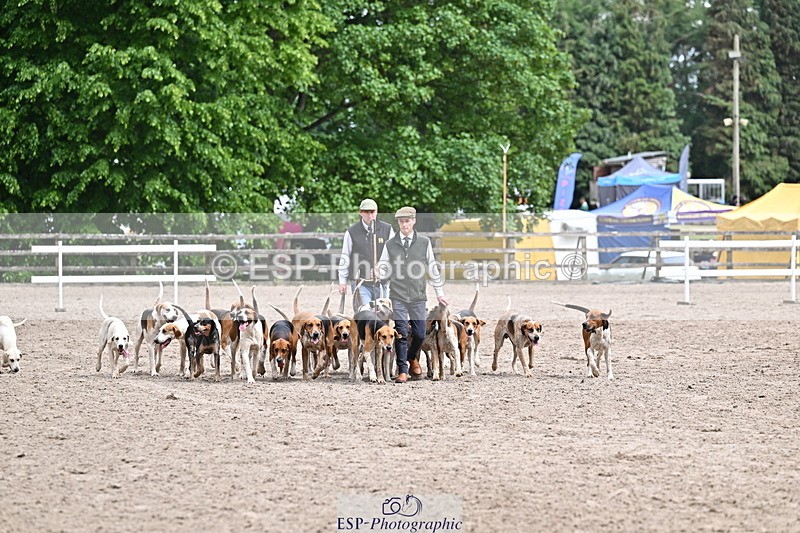 250524A-152201-12684 - East Devon Hounds