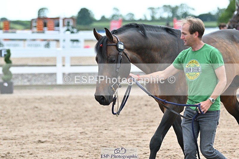 240717A-143131-02107 - Trot Up 2pm to 3pm - This folder is not in time order