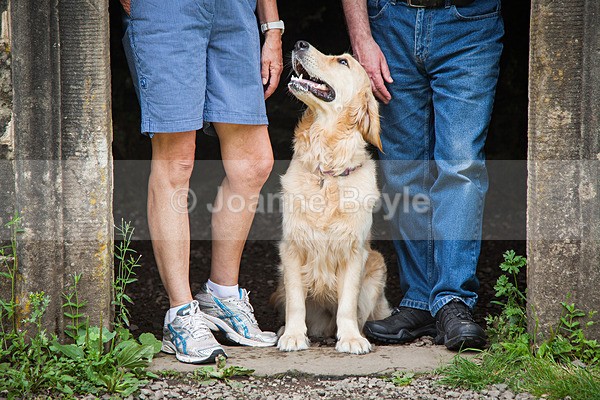 IMG_2515sm - Dog Portrait Photography