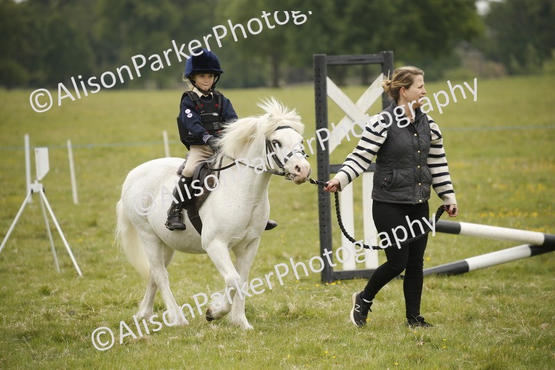 20250517-0178 - Class 1 - 30cm On Lead Rein