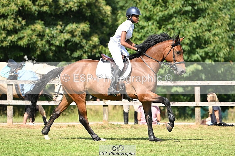 250704A-102309-06962 - Cls 25 Snr British Novice and 90cm