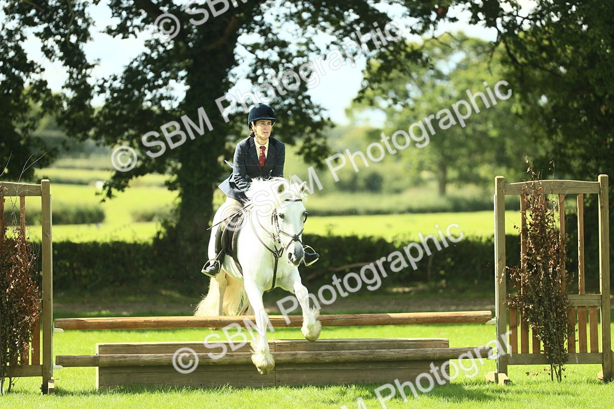 SBM_42925 - S30 - M&M Working hunter Pony