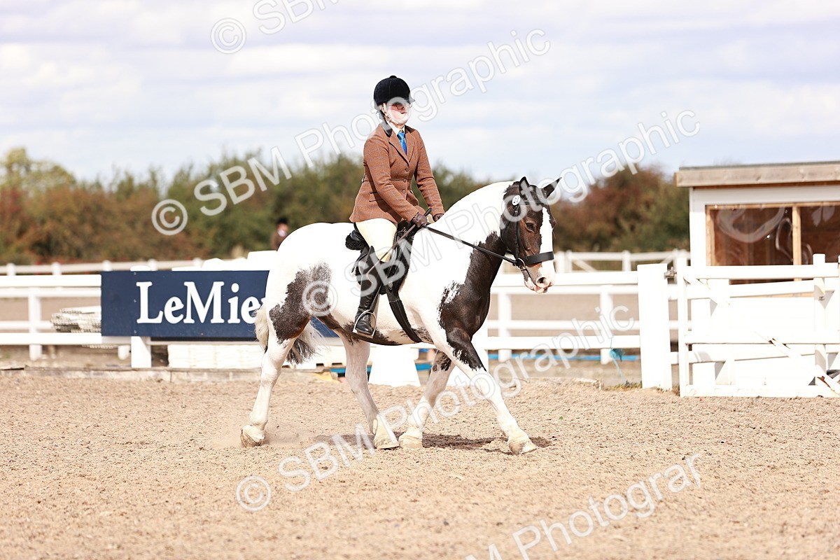 SBM_14483 - Class 410 - Grassroots Ridden - Horse
