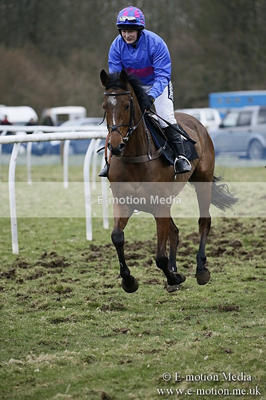 PtP 110318 515 - Hampshire Hunt Point-to-Point Hackwood Park 11/03/18