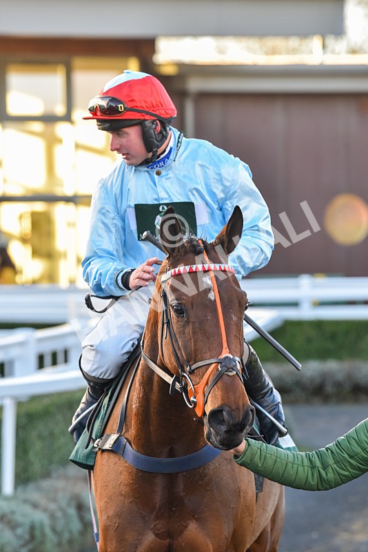 241123-Race 5-Bugise Seagull-7591 - Race 5