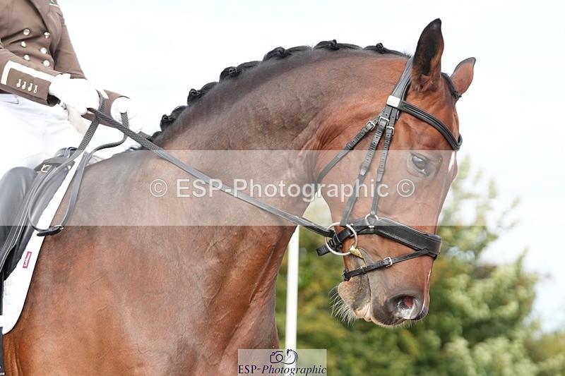 250906-100306-01219 - 024-Rebecca.KingFaside.Mark.My.Words