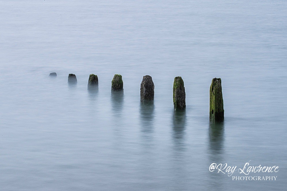 Recession_05_9_21-RLP29450a - Close to Home