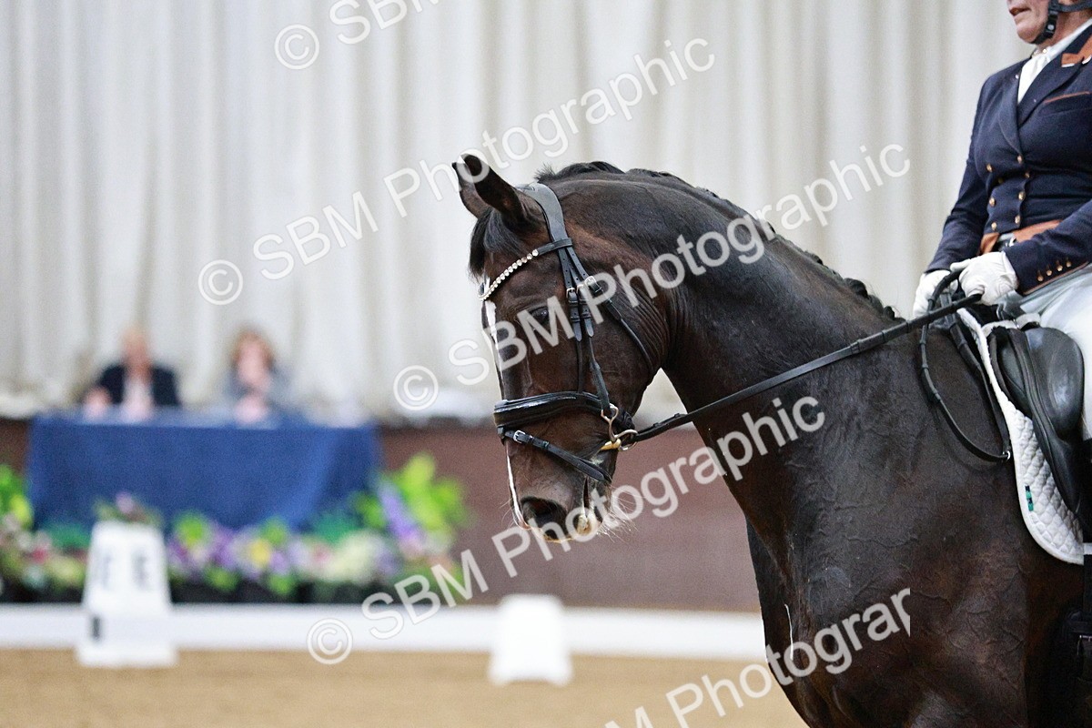 SBM_020696 - Class 13 - FEI INT I - 15.30-16.00