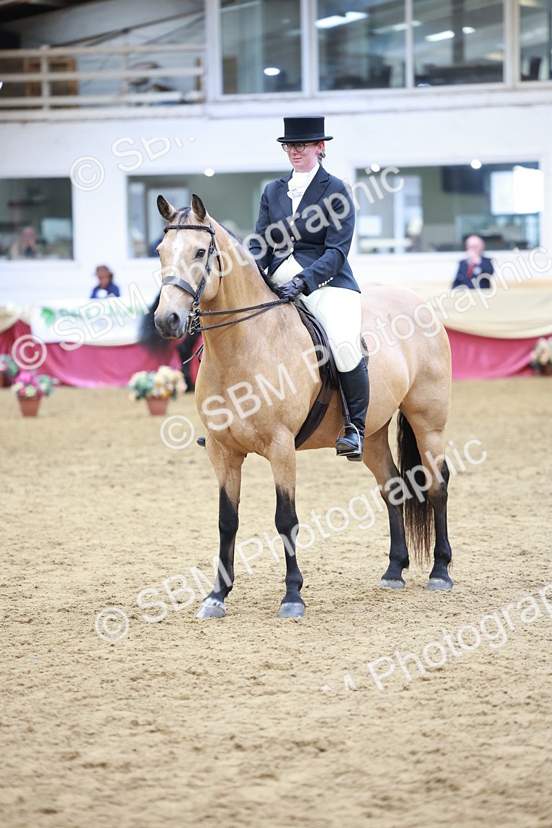 SBM_18789 - Class 952 - M&M Ridden Supreme Final