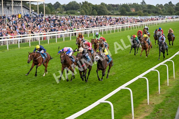 220824-Race 7-Alfa Kellenic-8074 - Race 7 5.20pm British EBF Fillies' Handicap
