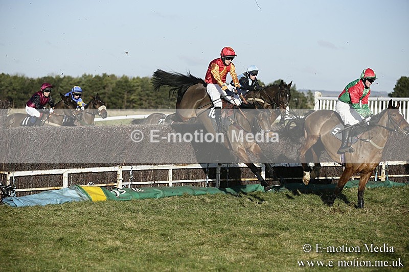 PtP 070118 -395 - Larkhill Racing Club Point to Point Larkhill 07/01/2018