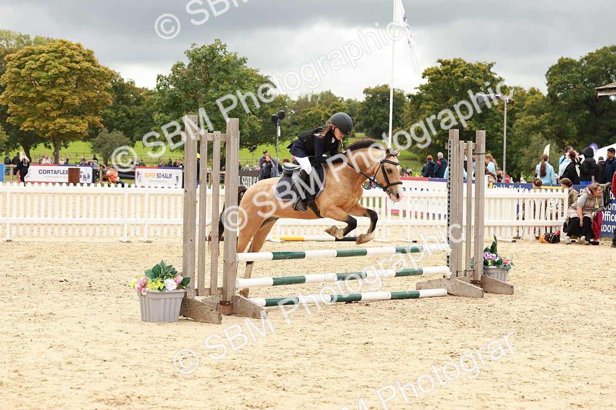SBM_62099 - J12 - Junior Pony 55cm Championship