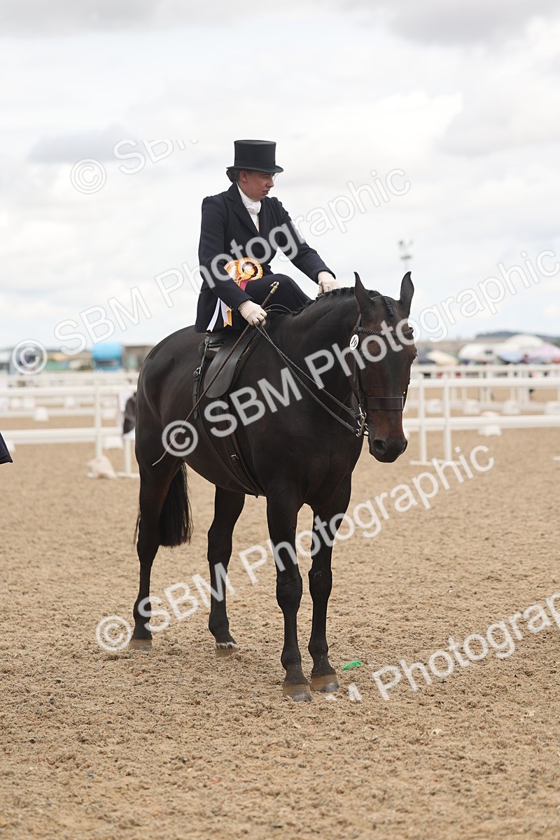 SBM_06390 - Class 22 - SSA - Equitation