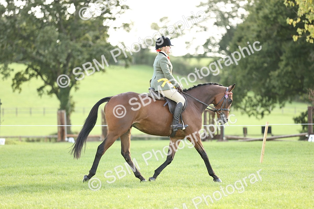 SBM_26514 - S6 - Novice & Newcomers Ridden Horse