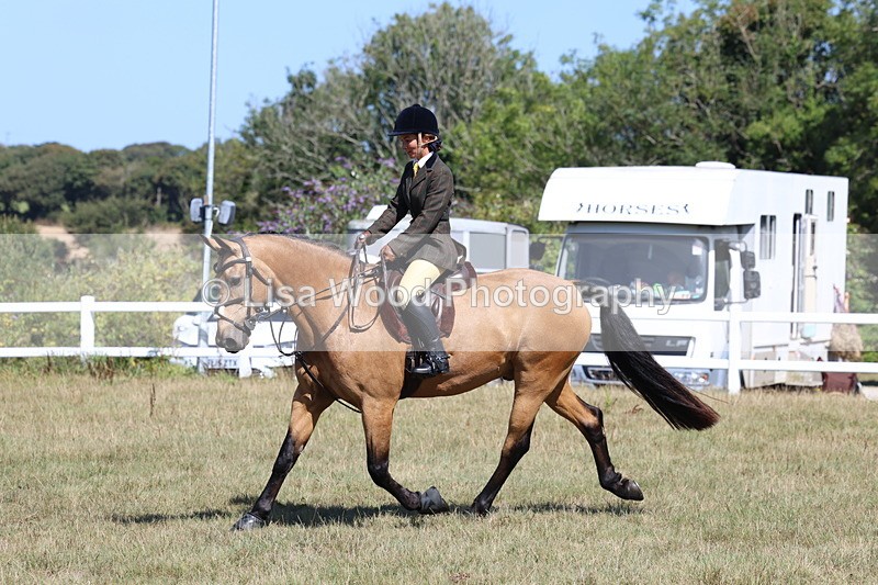 3E7A6269 - Class 6: Working Hunter 1m
