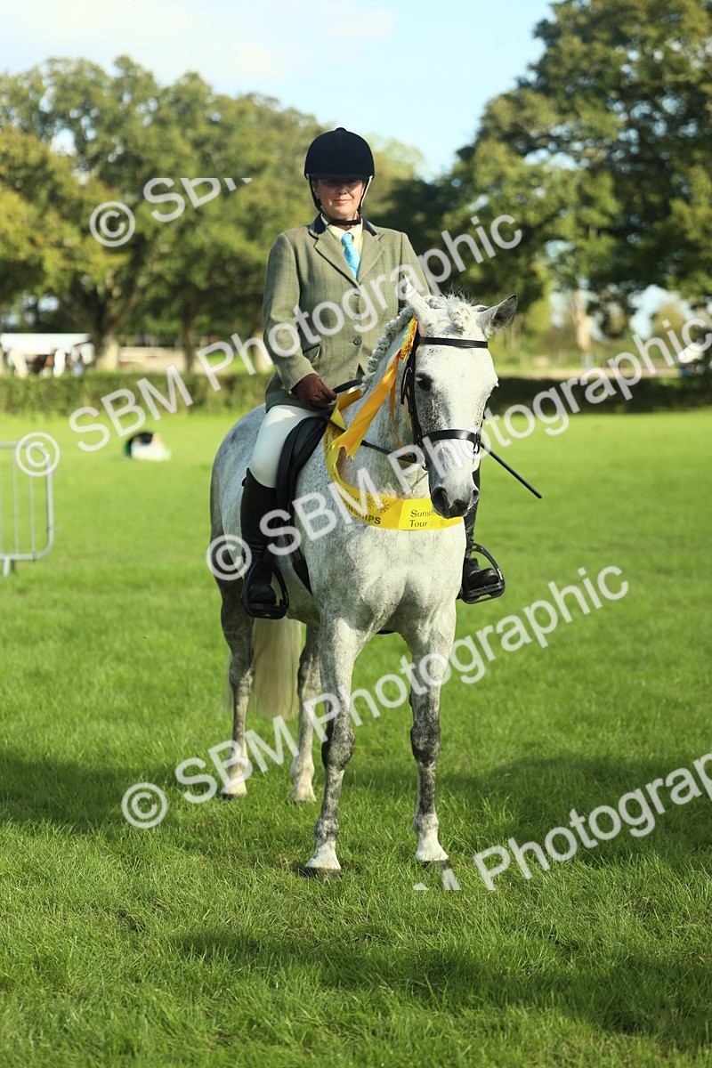 SBM_49915 - S32 - Novice & Newcomers Working Hunter