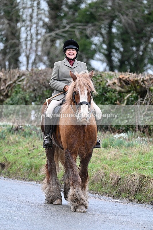 WJ7_8897 - Berks & Bucks - Rowles Farm 15-02-26