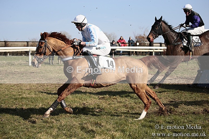 PtP 240218 376 - Vine & Craven Hunt Point-to-Point Barbury racecourse 24/02/18