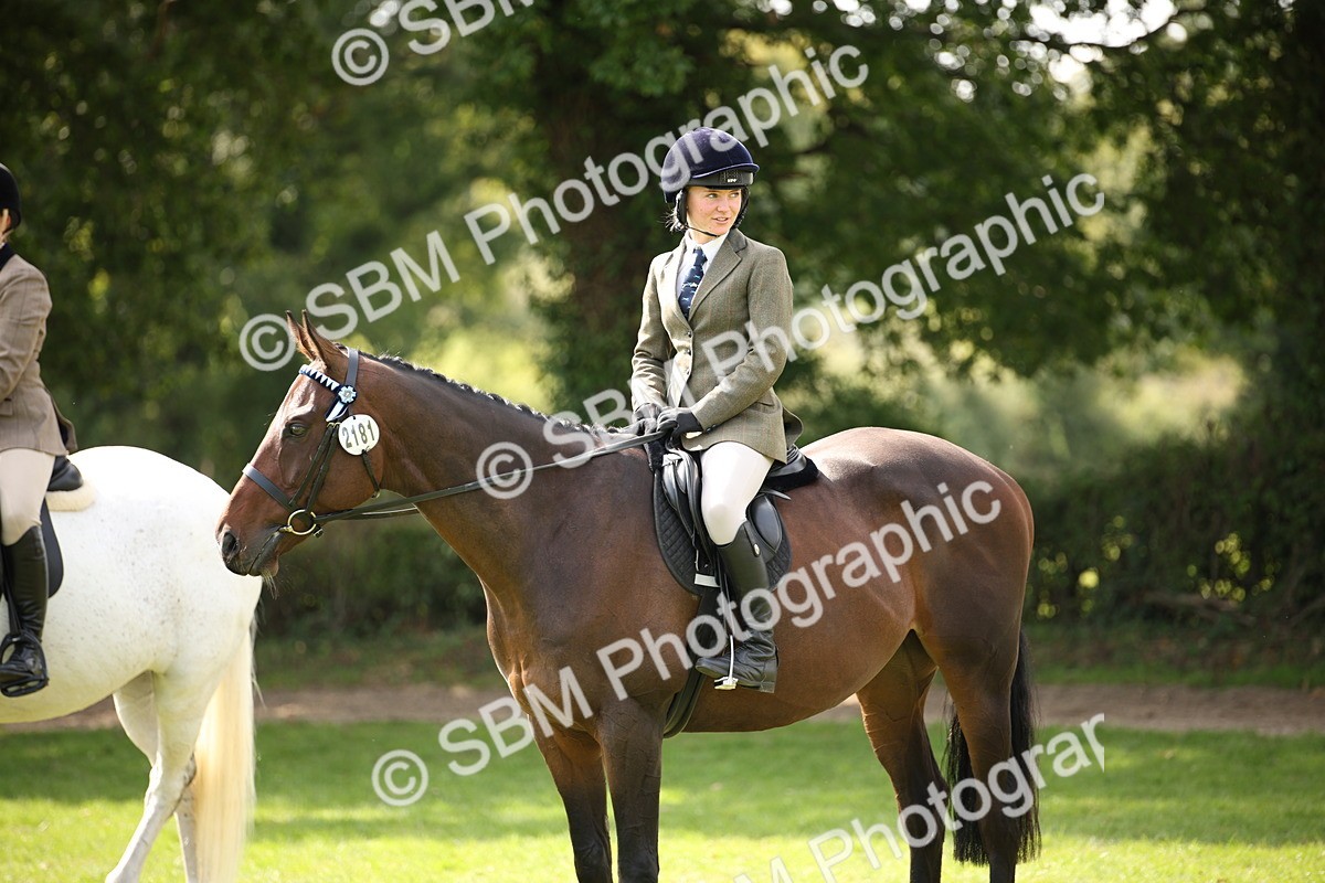 SBM_65990 - S64 - Riding Horse & Hack & Thoroughbred Ridden