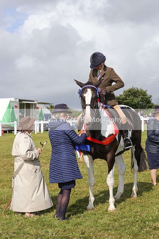 1X9A3509 - Skewbald and Piebald Ridden Championship