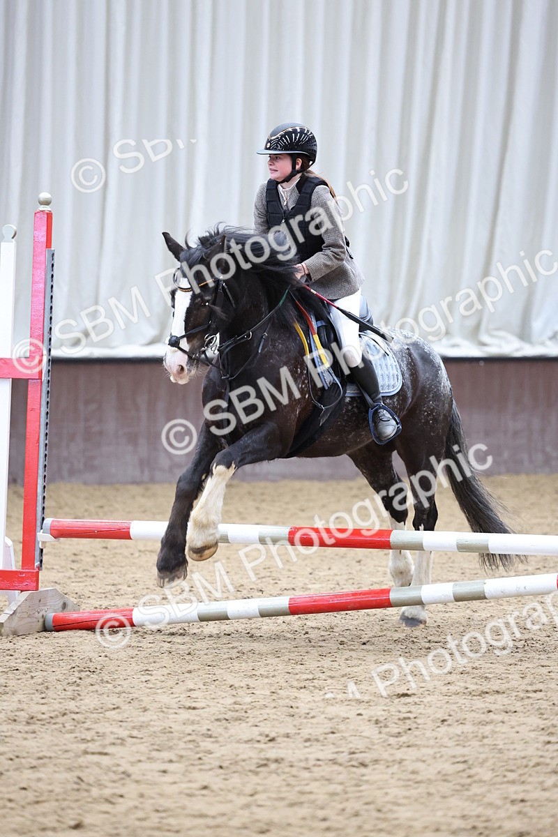 SBM_007723 - Class 3 - 60cm showjumping