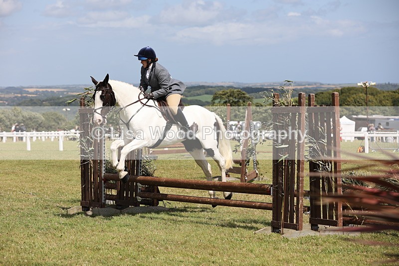 JPP_2193 - Class 19: Working Hunter 60cm