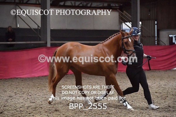 BPP_2555 - LOOSE JUMPING / SPSS