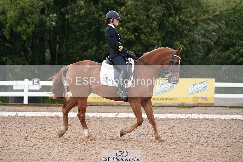 250907-153628-09584 - 122-India.JohnGrayswood.Orlando