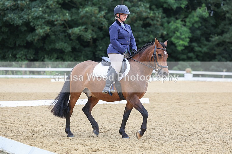 3E7A5154 - Class 2: Intro 4 2024 section B