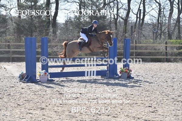 BPP_6212 - CLASS 8 SAT Pony BritiNovice / 0.80m Open