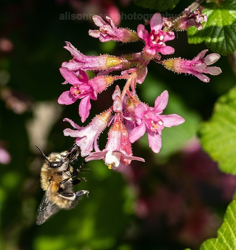  - Macro World