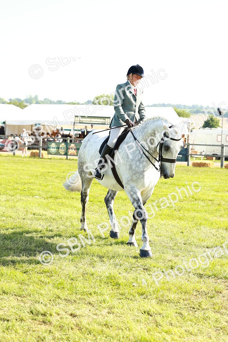 SBM_11774 - Class 66-69 - RIHS Ridden Hunters Inc Small Hunter