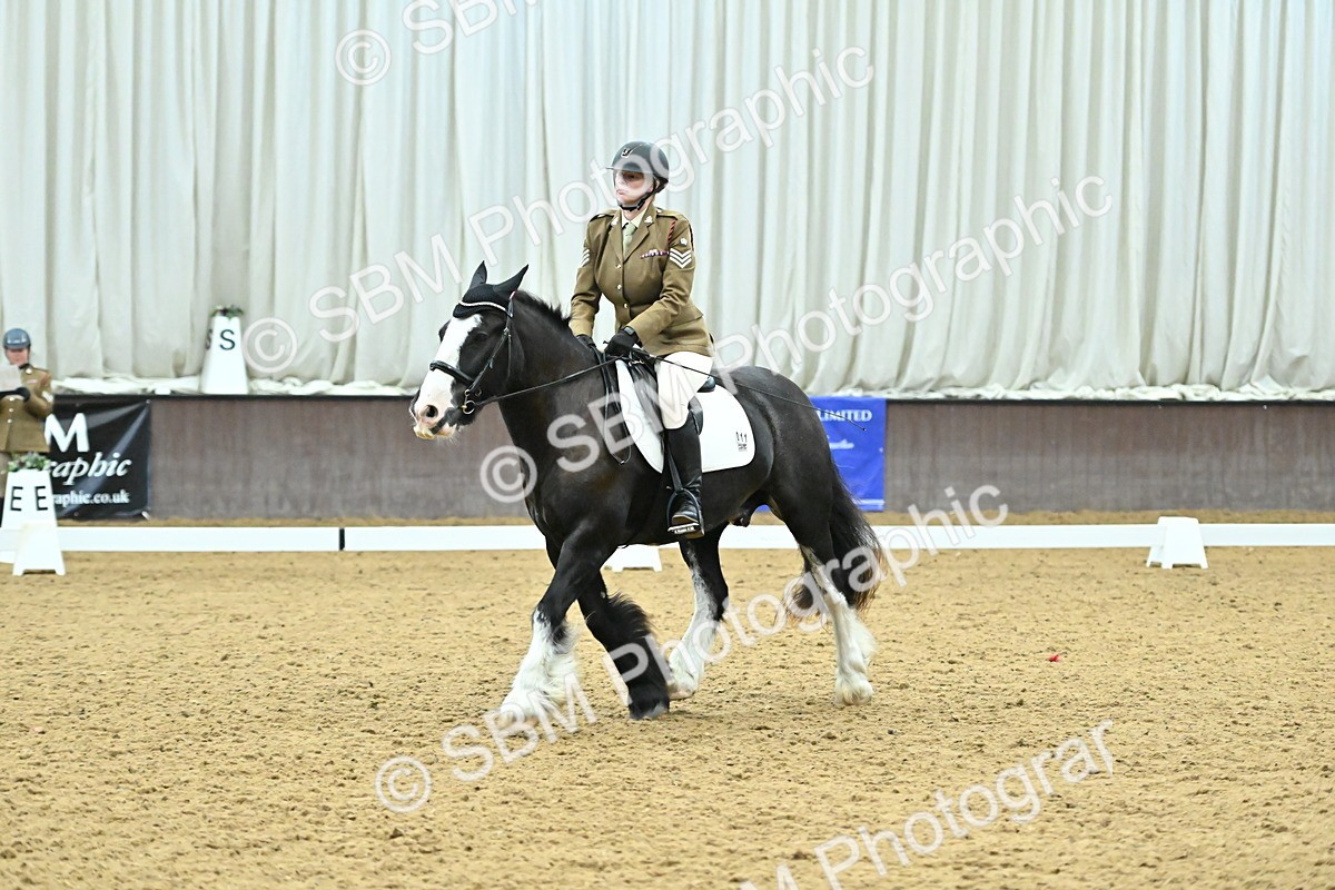 SBM_007453 - Class 81 - Novice 3