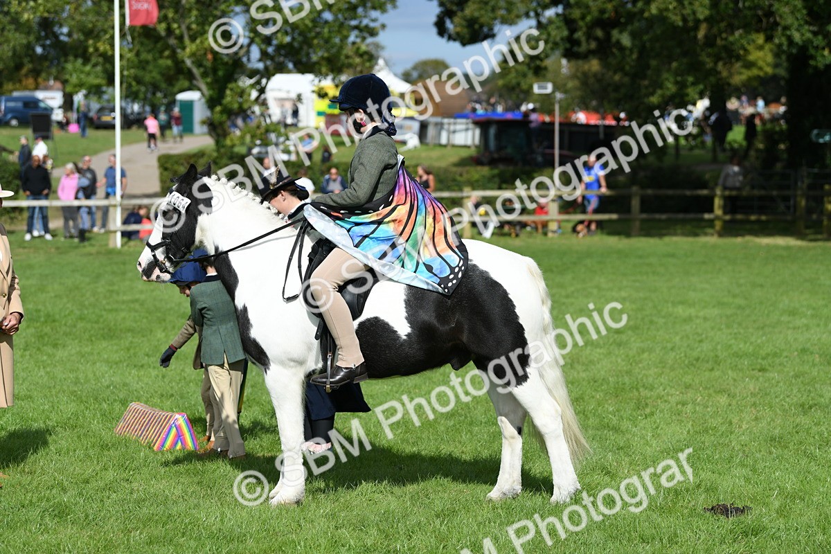 SBM_46987 - S12 - Family Horse & Pony
