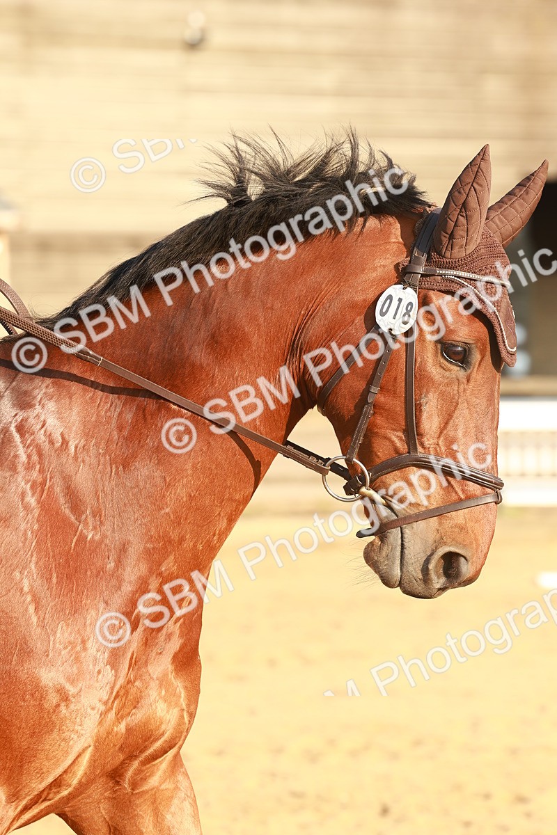 SBM_000540 - Class 7 - Elementary 2