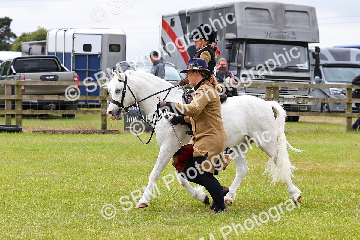 SBM_08191 - Class 42-43 - LIHS BSPS Heritage Working Sports Pony