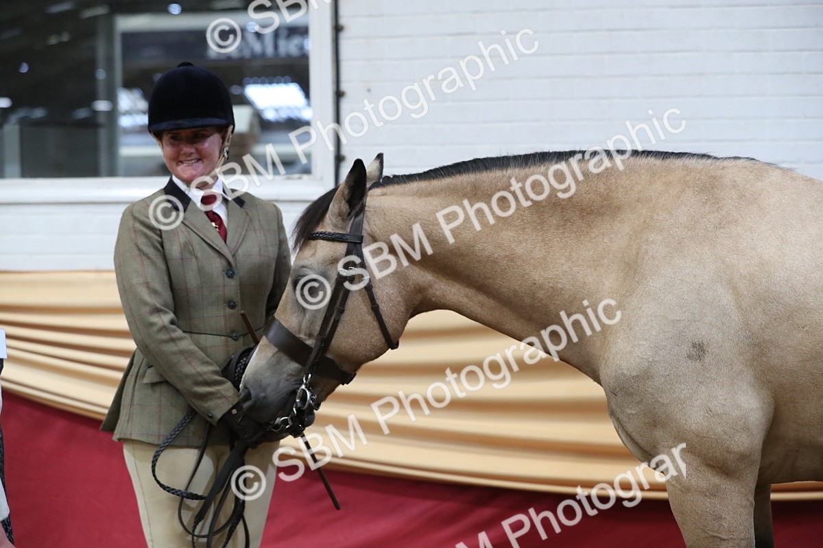 SBM_06412 - Class 9R Regional- IH Pre Vet