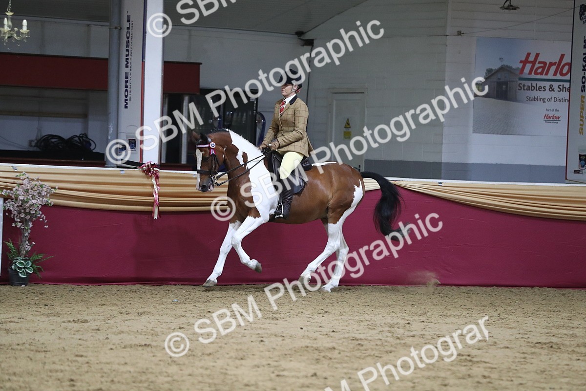 SBM_08442 - Class 11R Regional Ridden Veteran