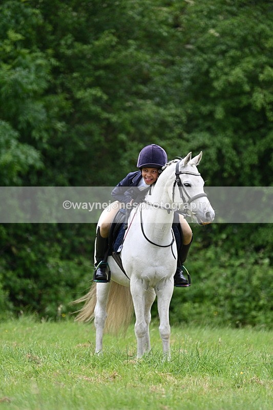 WJ7_3749 - Class 14A Handsome Gelding