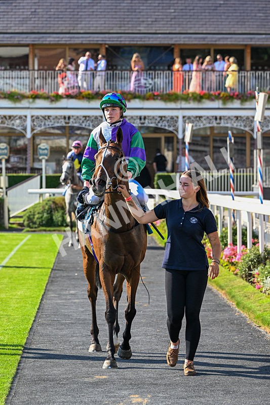 100726-Race 7-Green Sky-0991 - Race 7 17.40pm William Hill Best Odds Guaranteed Apprentice Handicap