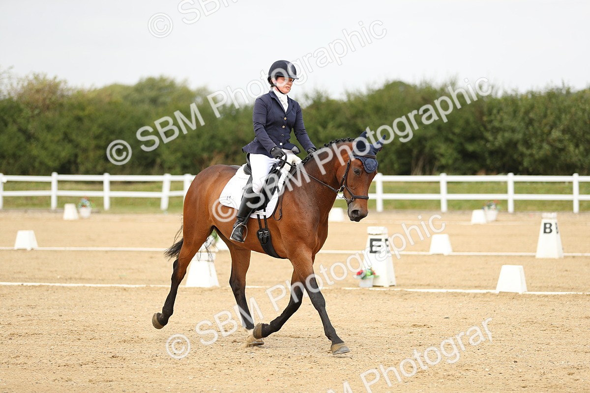 SBM_017333 - Class 13 - Novice 23 - 13.31-14.13