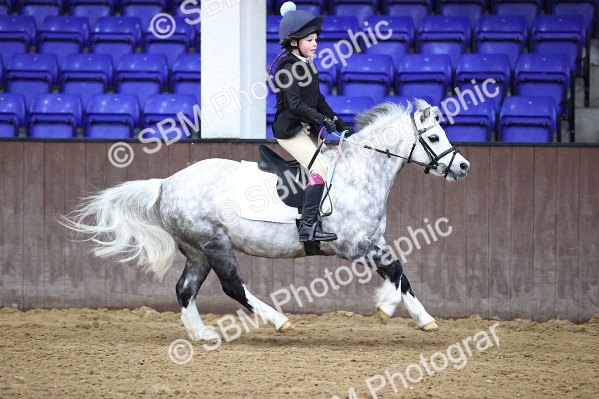 SBM_000193 - class 1 - 40cm